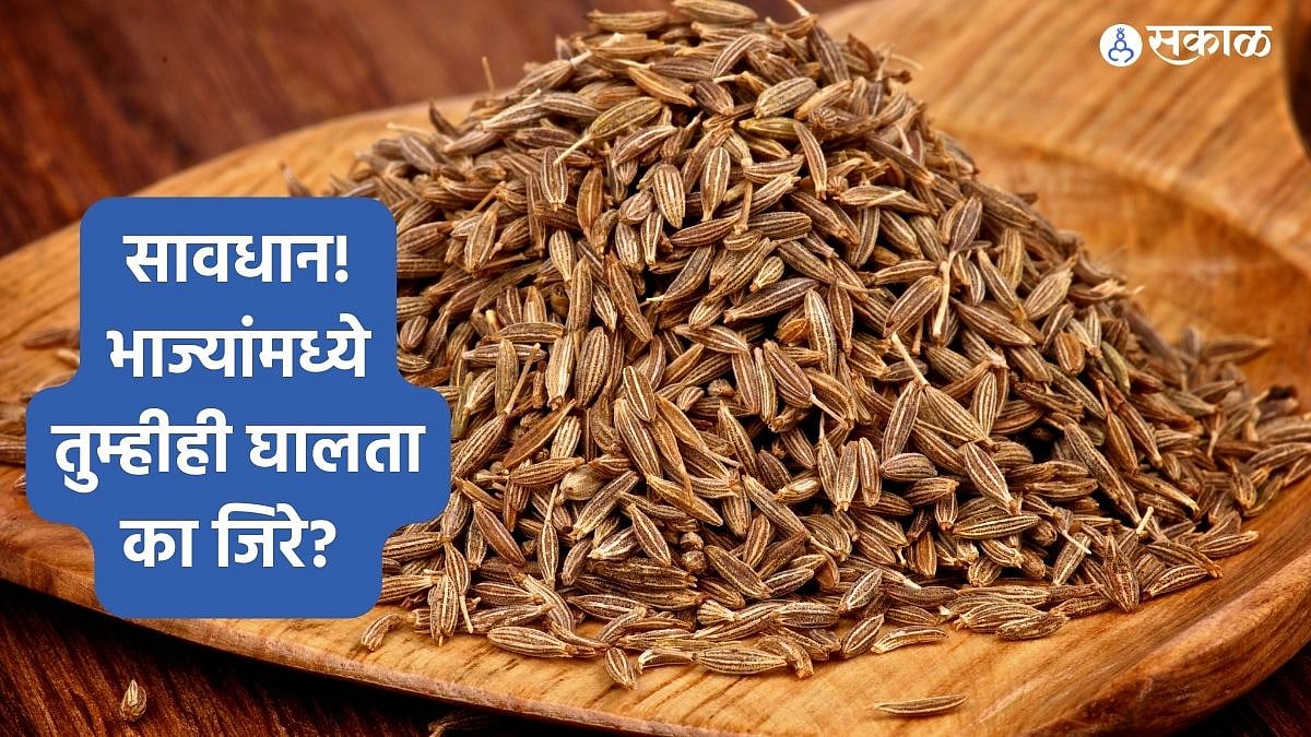 Cumin Seeds Side Effects सावधान! भाज्यांमध्ये तुम्हीही घालता का जिरे