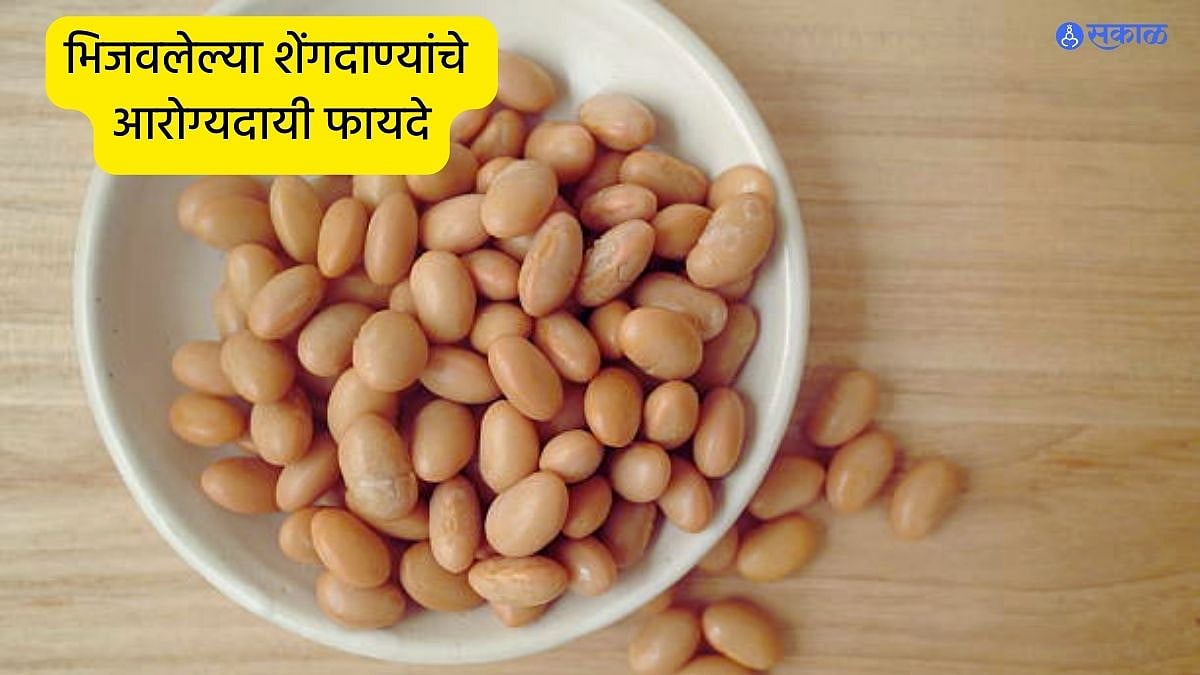 Benefits of Soaked Peanuts भिजवलेले शेंगदाणे आरोग्यासाठी आहेत लाभदायी