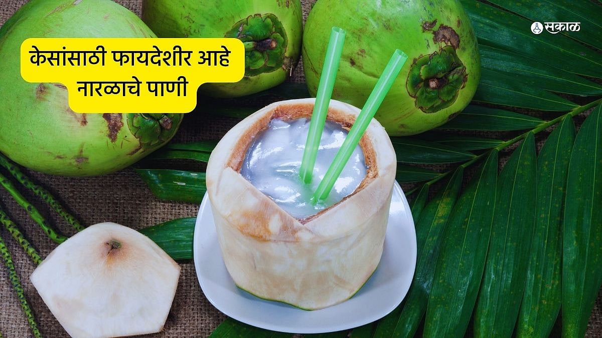 Coconut Water For Hairs केसांच्या वाढीसाठी फायदेशीर आहे नारळाचे पाणी