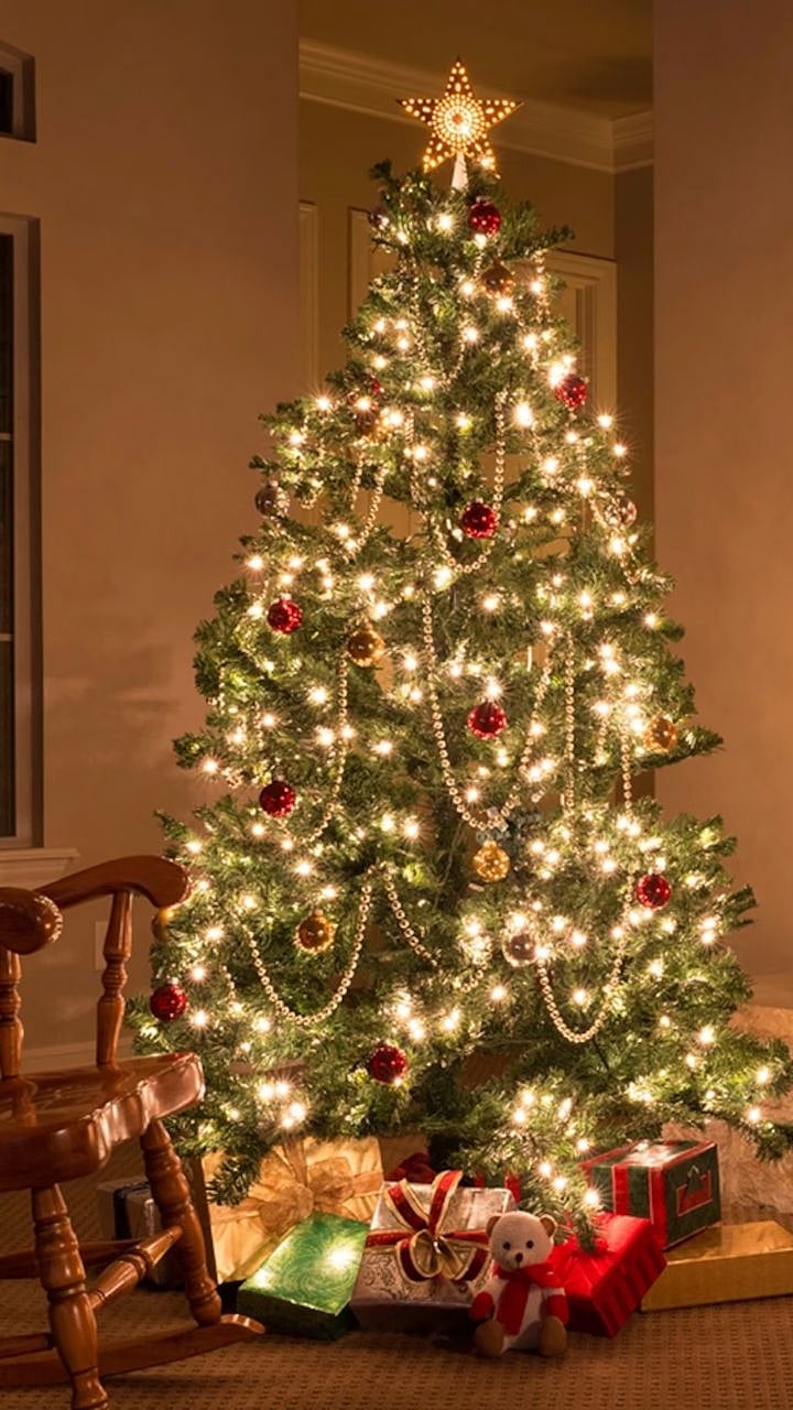 25-why-25-december-is-celebrated-as