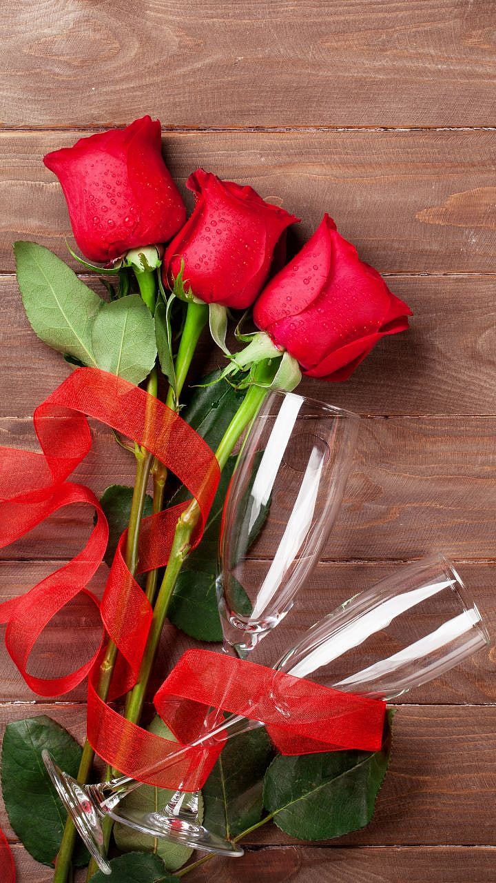 प्रेमाचंं प्रतीक असतं गुलाब, मात्र प्रत्येक रंगाचा आहे वेगळा अर्थ