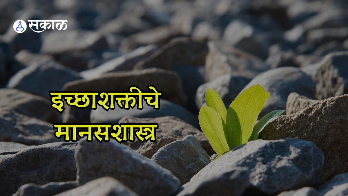 इच्छाशक्ती कशी वाढवावी? काय असते त्या मागचे मानसशास्त्र how to improve ...