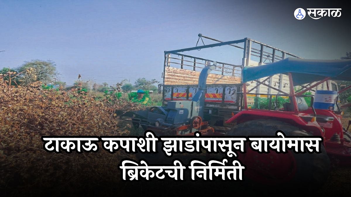 टाकाऊ कपाशीतून बायोमास ब्रिकेटची निर्मिती, हर्षेल लोधी यांच्या