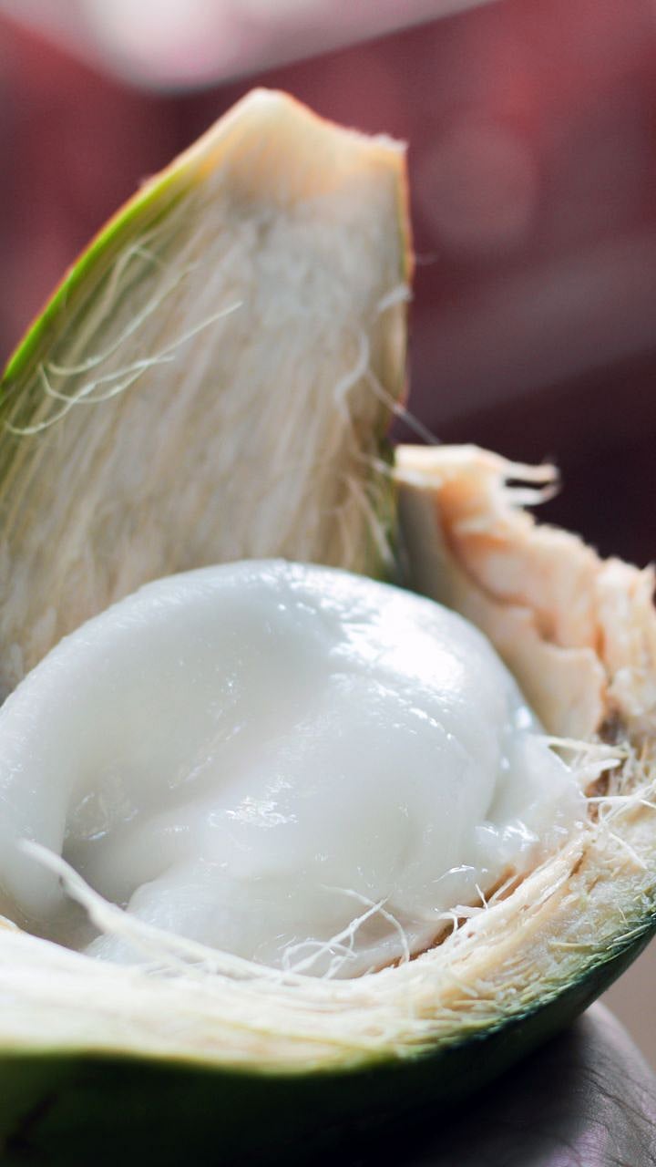 नारळातील मलईचे 'हे' आहेत फायदे | benefits of coconut malai