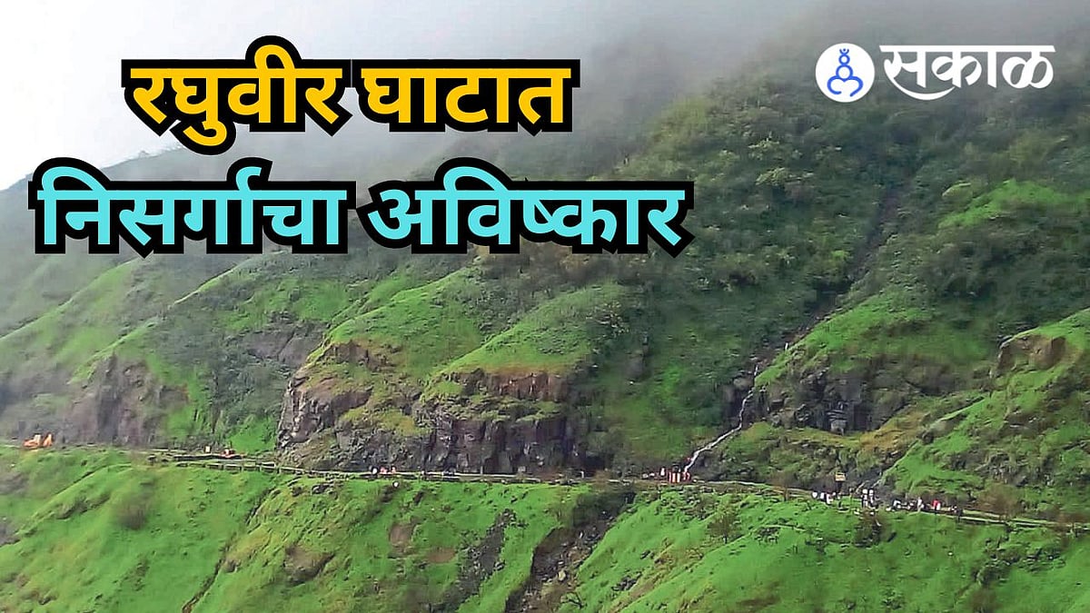 Raghuveer Ghat : दाट धुक्याने वेढलेल्या रघुवीर घाटाने पांघरला 'हिरवा ...