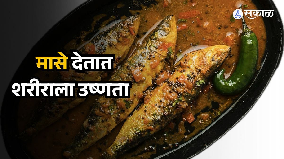 Winter Diet: थंडीच्या दिवसांत मासे देतात शरीराला उष्णता , जाणून घ्या ...