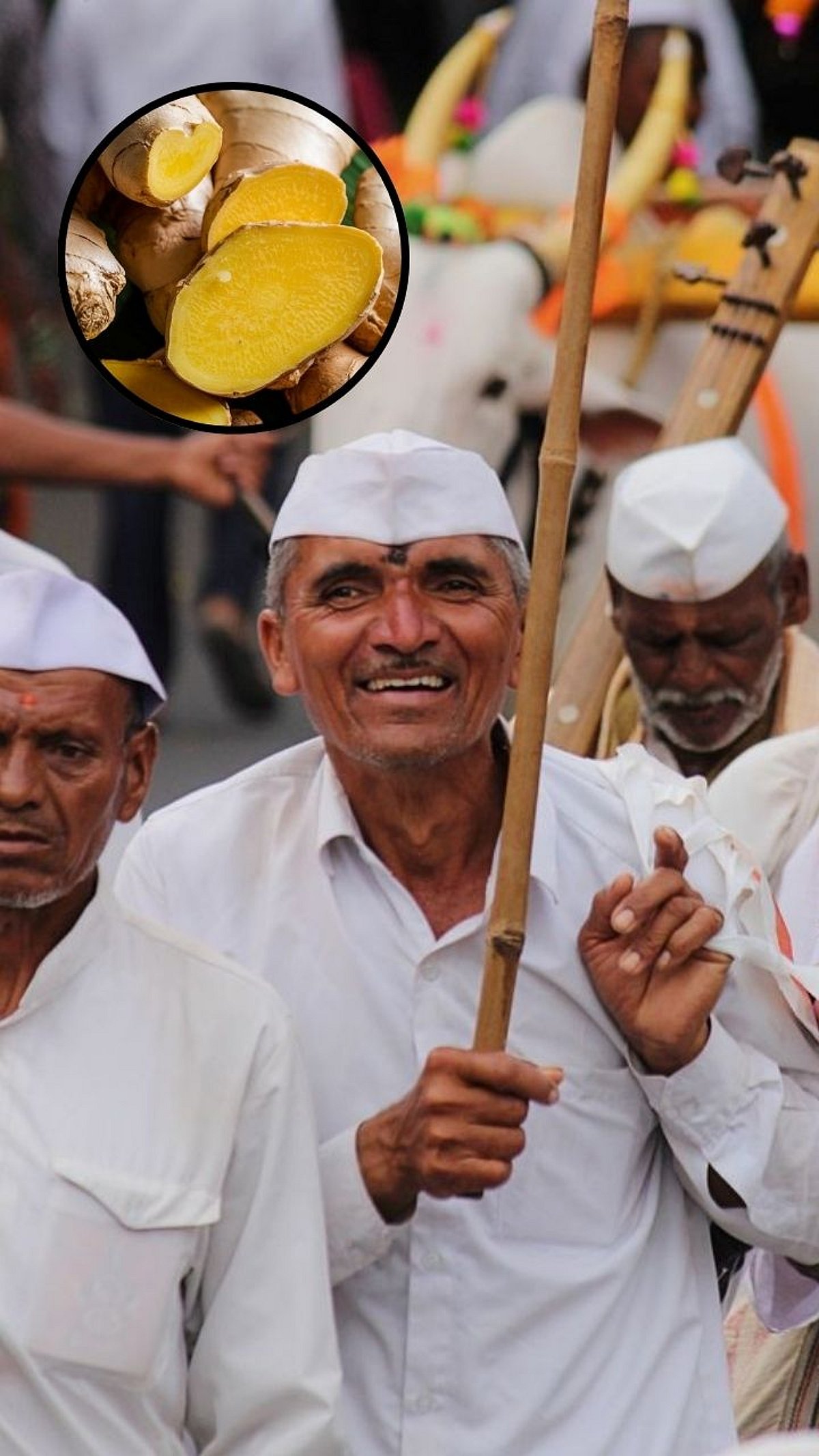 वारीमध्ये चालताय? तर सोबत 'आलं' नक्की ठेवा – आहेत अनेक फायदे! Wari Walk ...
