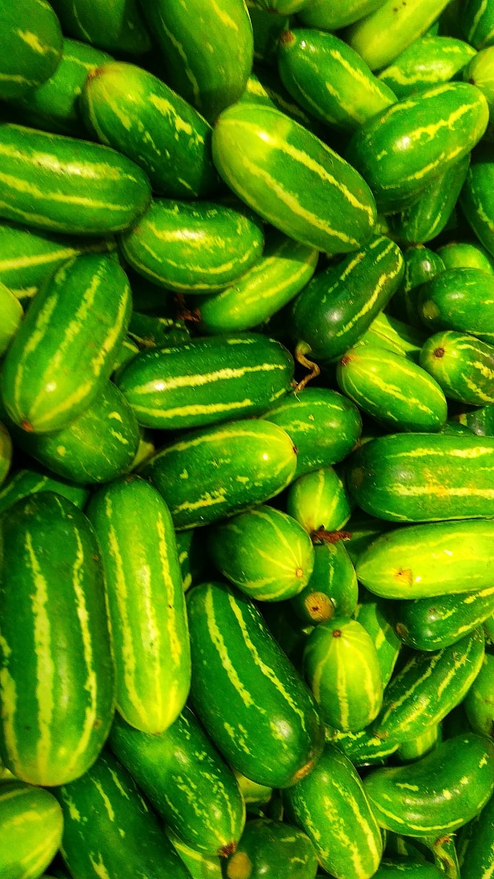 तोंडली आरोग्यासाठी किती फायदेशीर?|Benefits of Eating Tondli, Health ...