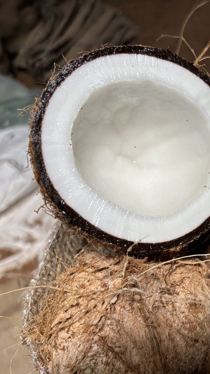 Coconut : ओले खोबरे खाण्याचे अनेक आरोग्यदायी फायदे असे करा सेवन|There ...