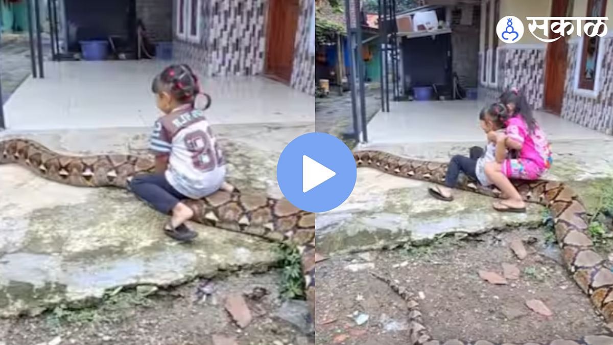 Giant Python Video I Girl Riding Snake I Viral Instagram Clip I Viral ...