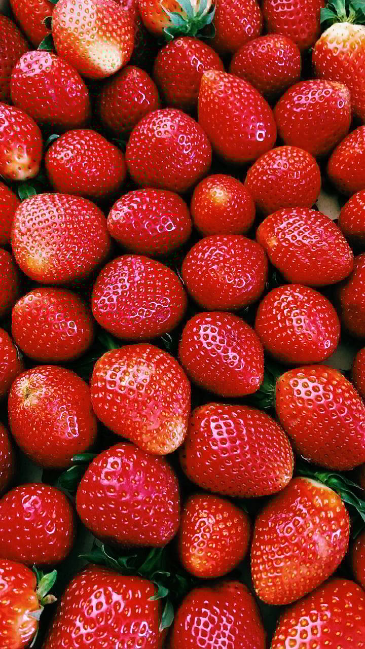 Strawberry Benefits : 'स्ट्रॉबेरी' खाण्याचे फायदे काय अन् दिवसभरातून किती खाव्यात? 6 Para SF Online Maharashtra