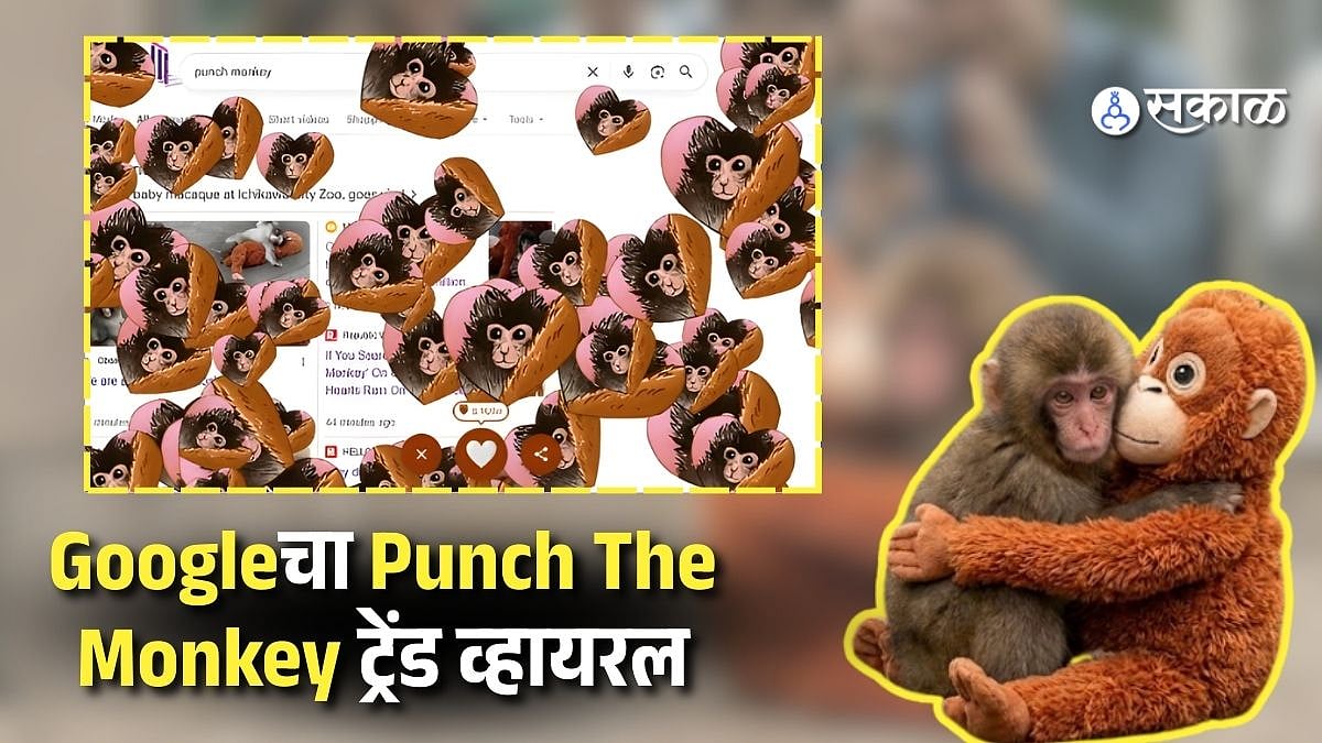 Google वर ‘Punch the Monkey’ सर्च केलंत का? क्यूट सरप्राइज पाहून हसू ...