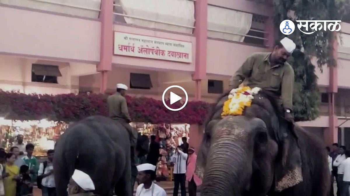 Gajanan Maharaj elephants Video: शेगावातील श्री गजानन महाराजांचे हत्ती ...