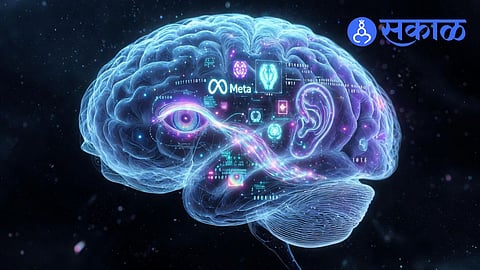 Metabrainz Meta TRIBE v2, Digital Brain Twin, AI Brain Model|Meta Brain : माणसाचा ...