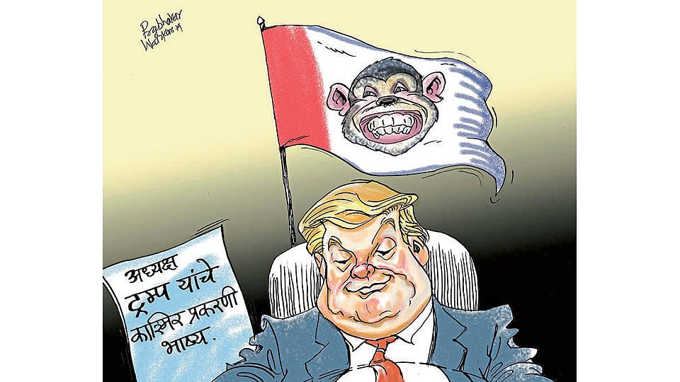 ढिंग टांग : तात्यामियां की पतंग!