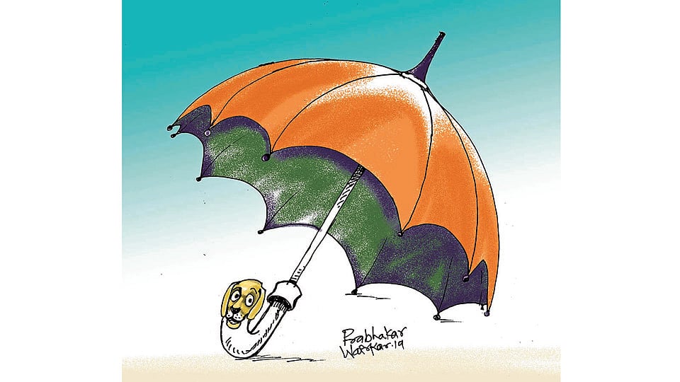 ढिंग टांग : छत्री!