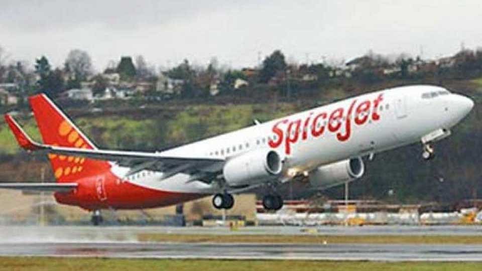 SpiceJet : स्पाईसजेटला दुसऱ्या तिमाहीत तब्बल 789 कोटींचा तोटा