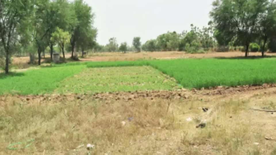 जमीन मोजणी आता फक्त अर्ध्या तासात
