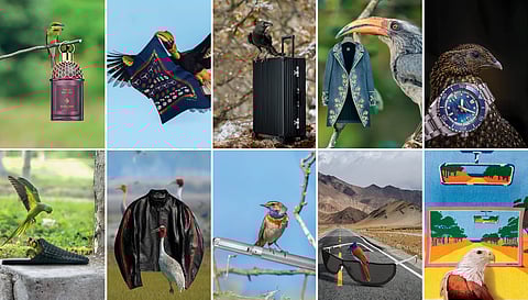 Esquire 10 Fancy This Month