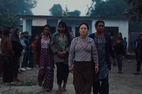 A Still From Elephants in the Fog