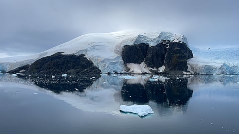 Penguins, Polar Bears and Everything Else: What You Didn’t Know About Visiting Antarctica