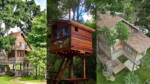 5 Best Airbnb Treehouses In Thailand Worth Booking By Indian Tourists