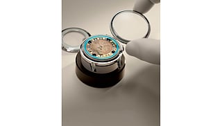 Collector's watches