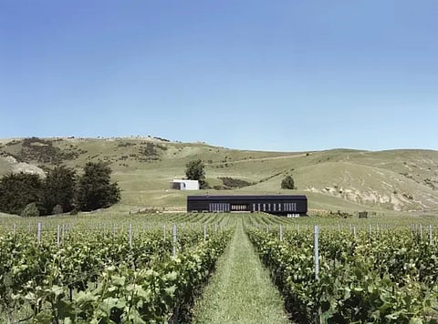Black Estate Vineyard in Waipara Valley, the wine region producing some of the New World's finest wines