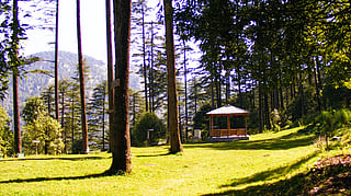 Best hill stations near delhi
