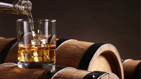 Best Rums of 2026
