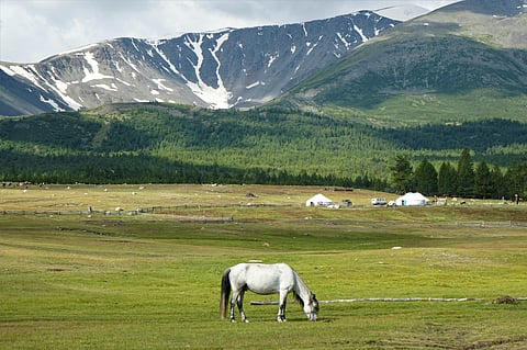 Mongolia Visa Free For Indians