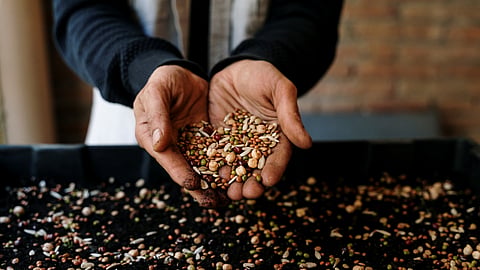 Seed Cycling