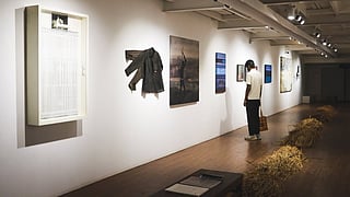 Art exhibitions in August 2026