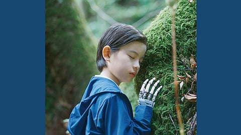 Still From Japanese Film Sheep In The Box