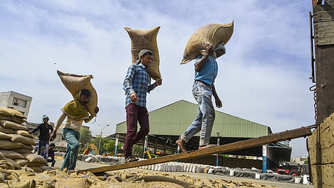 Wheat procurement surges 17% to 35 MT, exceeds target for 2026-27 season
