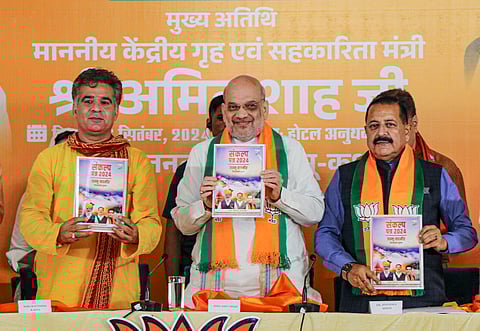 BJP J&K Manifesto 2024