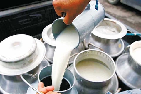 Mumbai consumers will pay more for tabela milk from September 1 | Representational image