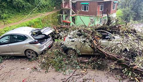 Monsoon fury | 332 roads closed in Himachal, uprooted trees damage vehicles in Shimla
