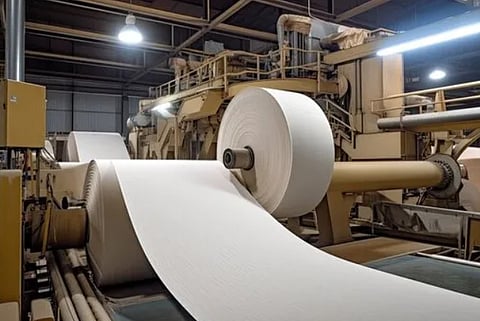 Govt imposes minimum import price of Rs 67,220 per tonne on multi-layer paper board till Mar 2026
