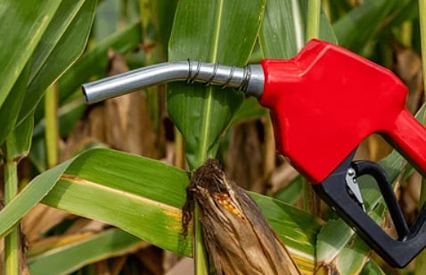 Govt permits sugar mills, distilleries to make ethanol without any restrictions in 2025-26 