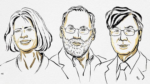 Nobel Prize in medicine awarded to trio for immune tolerance discoveries