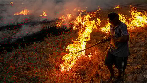 Punjab sees 72% drop in farm fires amid delayed harvest