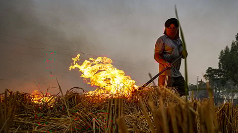 122 stubble burning incidents on Sunday mark highest single-day spike this season