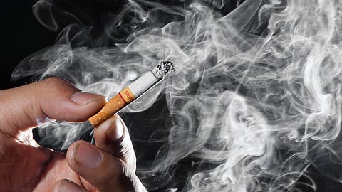 Govt introduces Central Excise (Amendment) Bill in LS to impose new levies on tobacco, pan masala