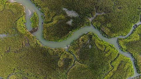 Major deltas worldwide sinking faster than sea levels are rising, risking lives of millions