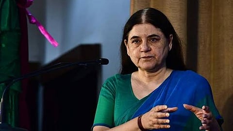 'Contempt of court': SC irked by Maneka Gandhi's criticism of its order in stray dog case
