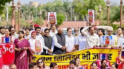 Opposition MPs protest in Parliament House complex over 'LPG supply crunch'
