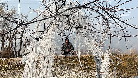 J&K launches QR code-based identification system for all tourism stakeholders in Pahalgam