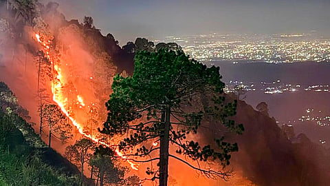 Indian Army, IAF contain major Kasauli forest fire after 15-hour operation