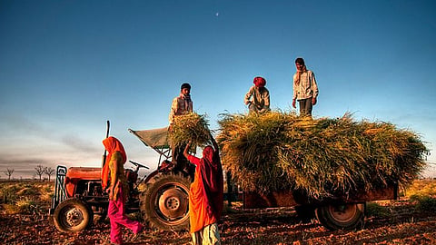 Rabi MSPs raised for 2027-28 as the Centre estimates a Rs 90,962 crore payout | File Image